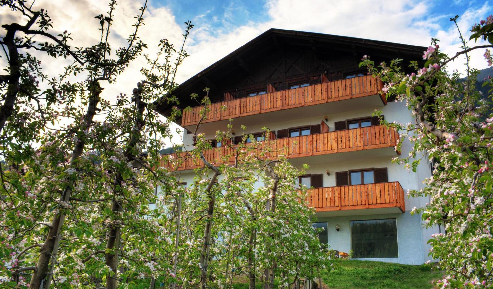 Pension Thalerhof Rifiano Εξωτερικό φωτογραφία